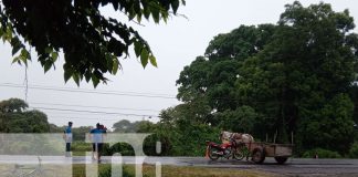 Foto: Encuentran restos de caballos/TN8