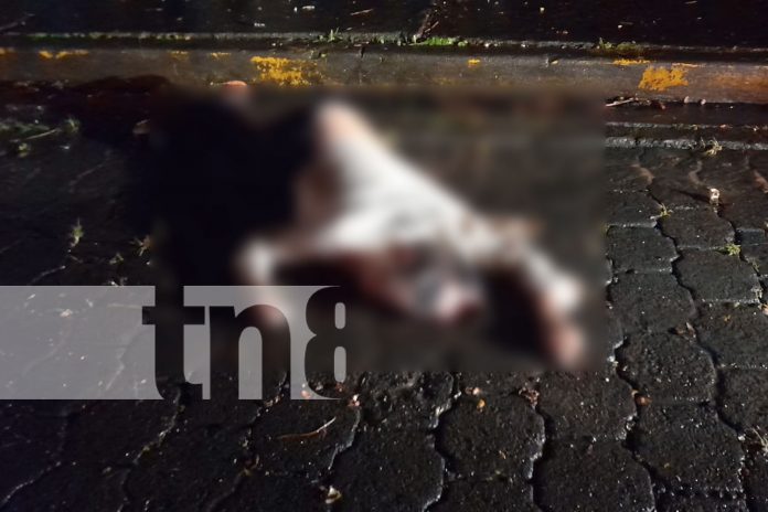 Foto: Trágico accidente en Matiguás: Peatón muere atropellado y conductor huye/TN8
