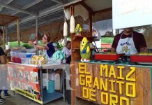 Foto: Gastronomía, artesanía y mucho más en el Parque Nacional de Ferias en Managua / TN8
