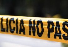 Foto: Cerdo provoca muerte de un joven motociclista en Chinandega / Cortesía