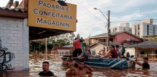 Foto: Leptospirosis causa la muerte de 13 personas en Brasil / Cortesía