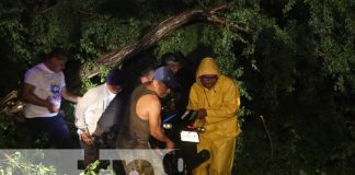 Lluvias y vientos dejan como resultado un fallecido en León