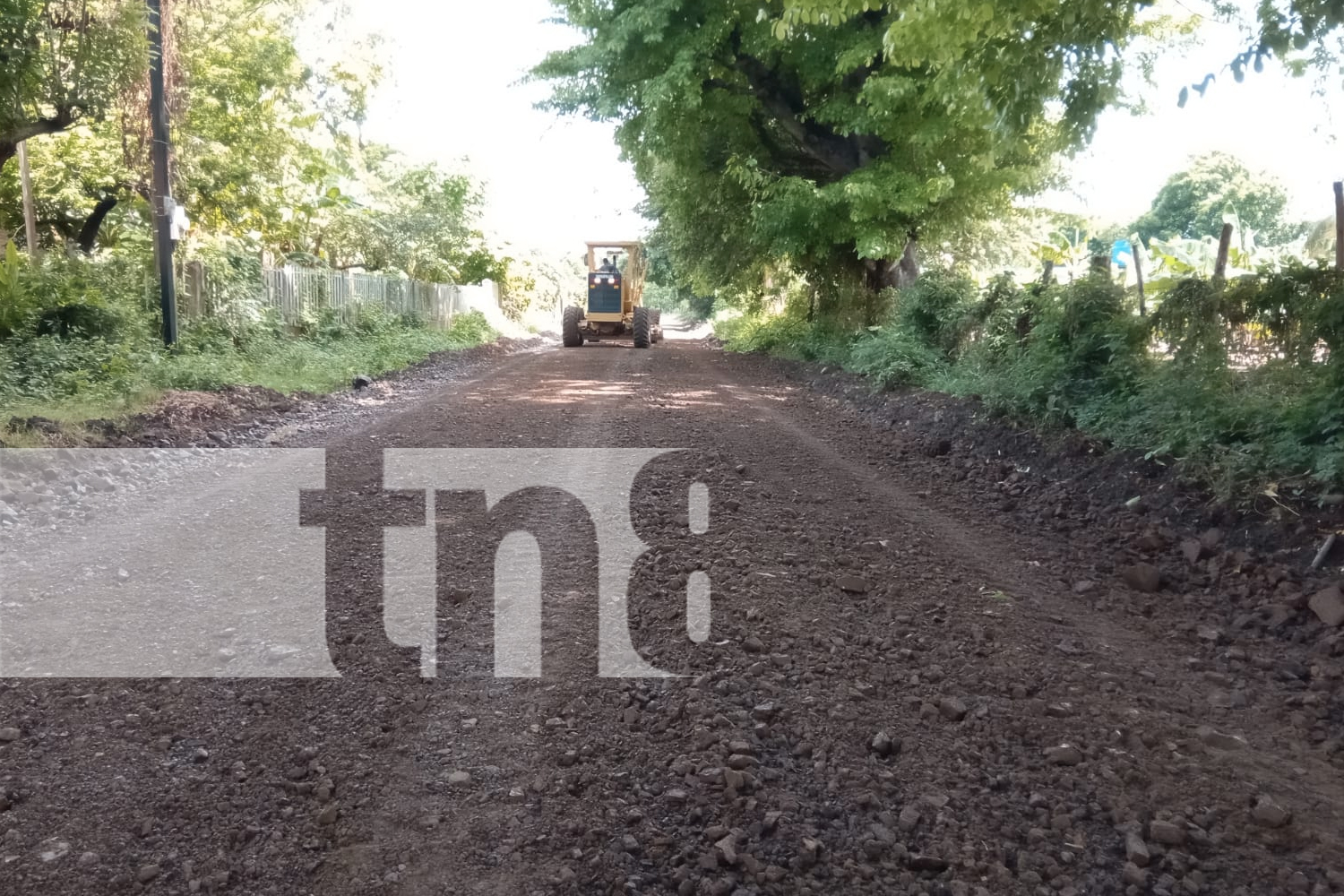 Foto: Alcaldía de Rivas garantiza excelentes vías de acceso a los productores/TN8