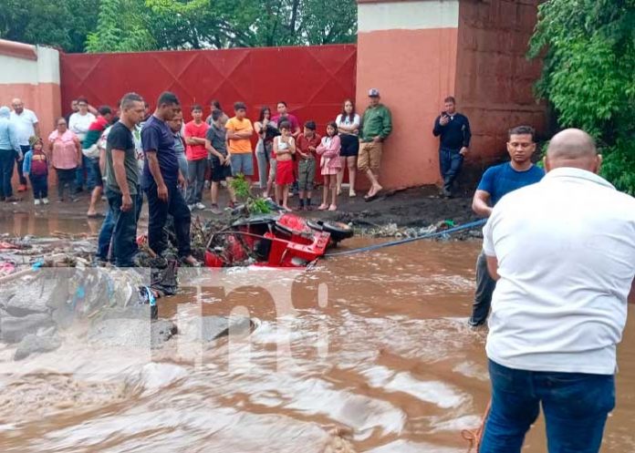 Foto: Caponero escapa de la muerte al intentar cruzar las fuertes corrientes en Sabana Grande / TN8