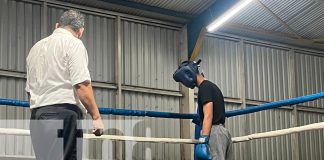 Foto: Alcaldía de Managua realizó el campeonato de boxeo 2024 en el Distrito VI/TN8