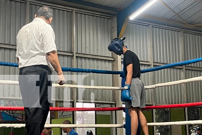 Foto: Alcaldía de Managua realizó el campeonato de boxeo 2024 en el Distrito VI/TN8