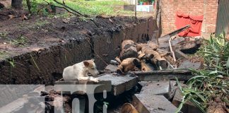 Foto: Autoridades de Rivas se activan ante la caída de fuertes lluvias / TN8