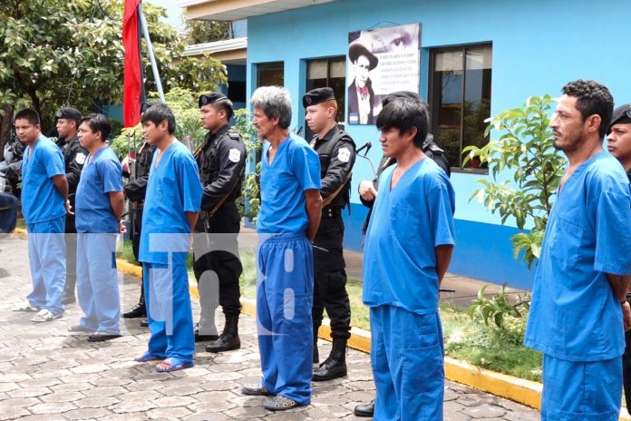 Foto: Policía Nacional pone mano dura contra los delitos de robo y venta de drogas/TN8