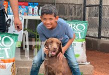 Foto: ¡Primera Escuela Canina en Estelí! Un espacio para el adiestramiento y cuidado/TN8