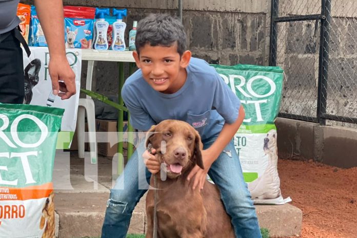 Foto: ¡Primera Escuela Canina en Estelí! Un espacio para el adiestramiento y cuidado/TN8