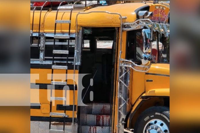 Foto: Adolescente condenado a cinco años de cárcel por asesinar a cobrador de bus en Jinotega/TN8