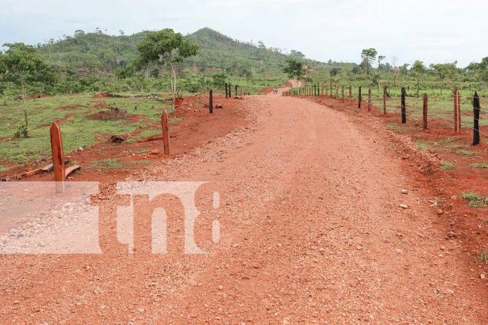 Foto: Gobierno inaugura nuevos caminos productivos en Pueblo Nuevo, Costa Caribe Norte/TN8