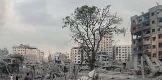 Foto: Sufrimiento en Gaza /cortesía