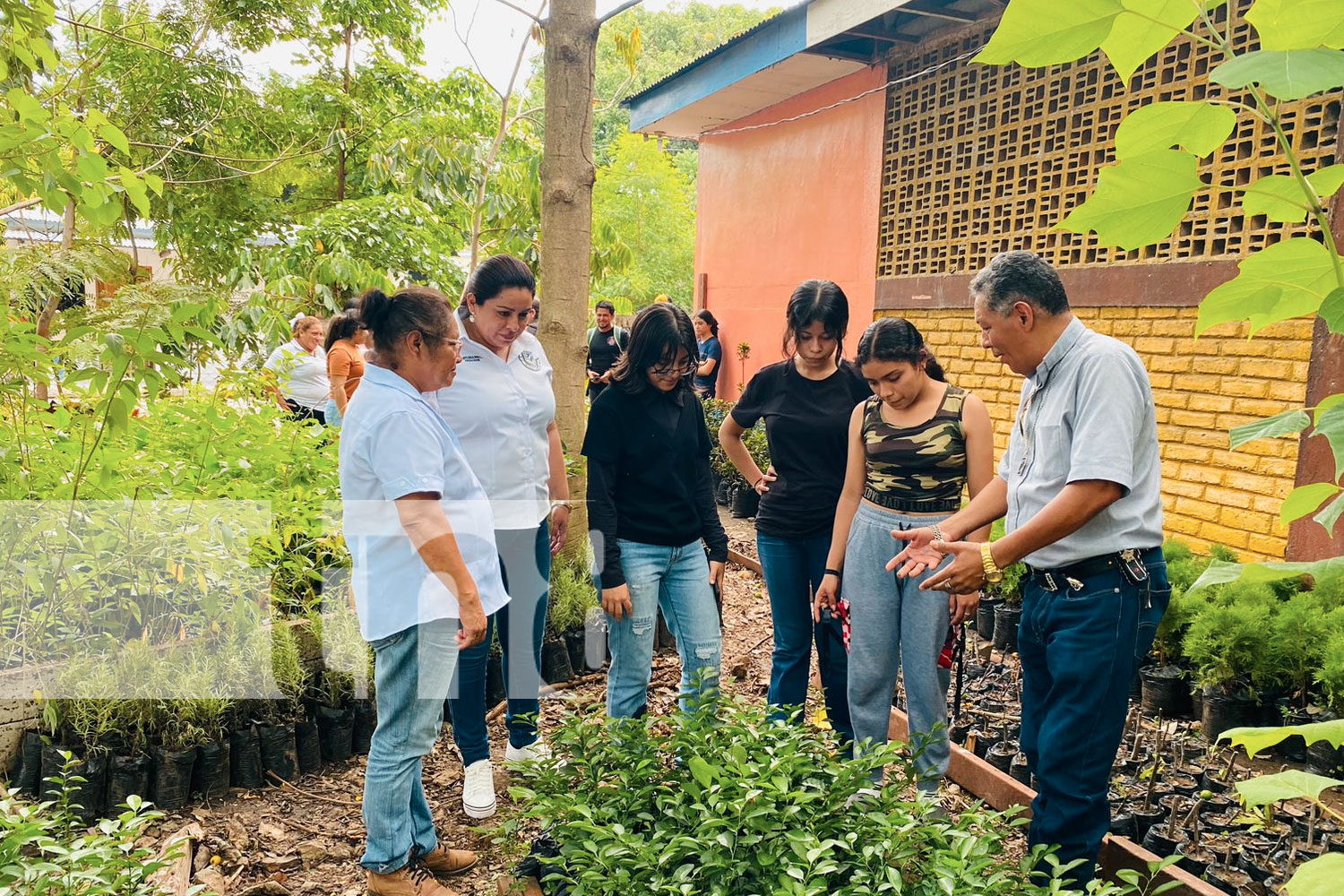 Foto: Alcaldía de Matiguás realizó el lanzamiento del "Vivero de Mi Pueblo" / TN8