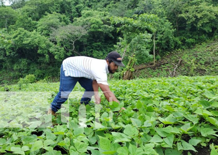 Ticuantepe y Managua con gran expectativa