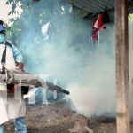 Foto: Familias de Jalapa se unen a la lucha contra el dengue/TN8