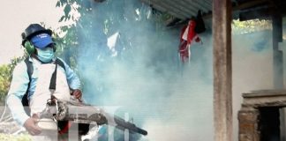 Foto: Familias de Jalapa se unen a la lucha contra el dengue/TN8
