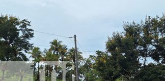 Foto: Río Blanco inaugura proyecto energético para comunidades rurales/TN8