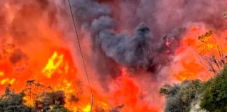 Foto: Incendios en Turquía /cortesía