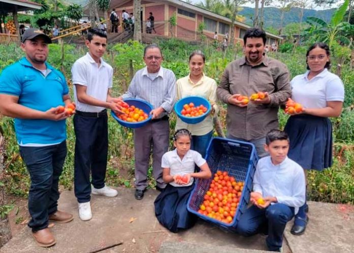 Foto: MINED continúa en formación de Huertos Escolares / TN8