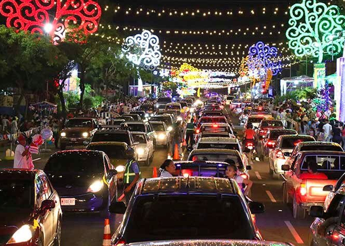 Foto: Árboles de la Vida en Nicaragua /cortesía 