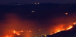 Foto: Incendios en Israel /cortesía