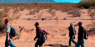 Foto: Migrantes varados entre México y Estados Unidos mueren por ola de calor / Cortesía