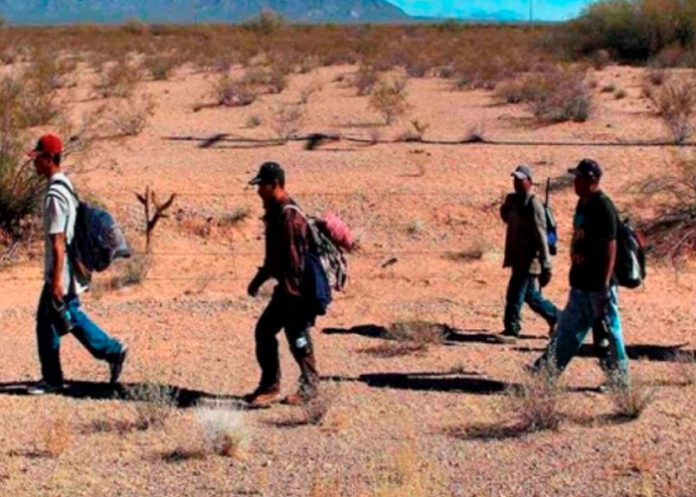 Foto: Migrantes varados entre México y Estados Unidos mueren por ola de calor / Cortesía