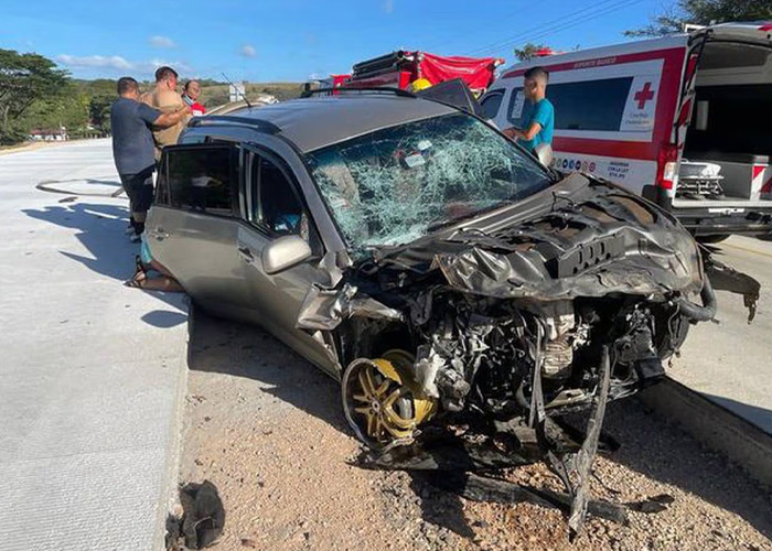 Foto: Perdieron la vida de manera muy trágica en Costa Rica /Cortesía