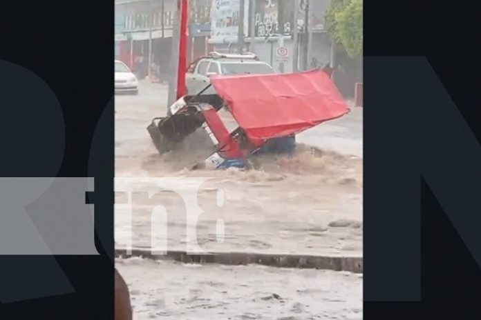 Foto: Caponero se salva de ser arrastrado por fuerte lluvia en Linda Vista / TN8