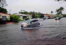 Torrenciales lluvias paralizan Florida 