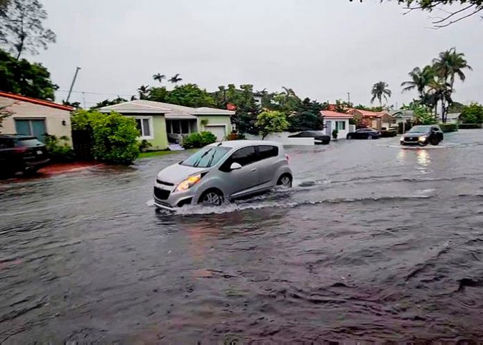 Torrenciales lluvias paralizan Florida 