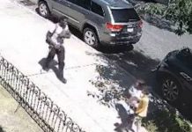 Foto: Hombre asalta a niños en Nueva York /Cortesía