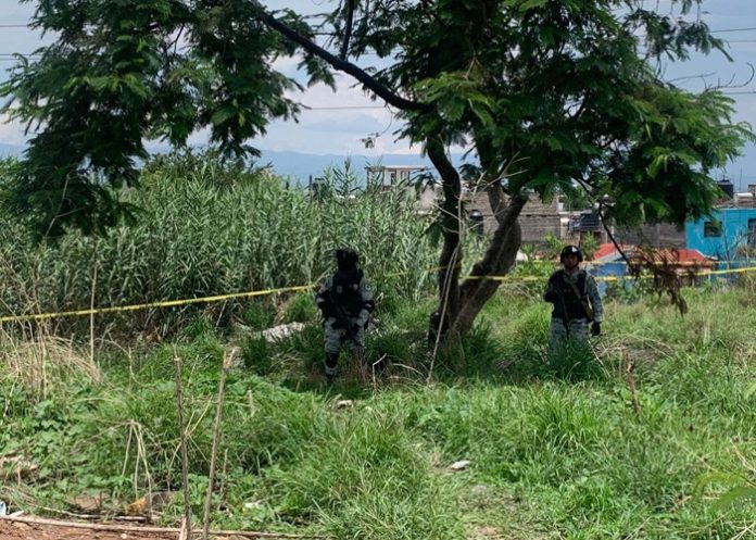 Foto: Encuentran 17 cuerpos en fosa clandestina en México /Cortesía