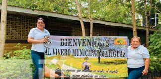 Foto: Alcaldía de Matiguás realizó el lanzamiento del "Vivero de Mi Pueblo" / TN8