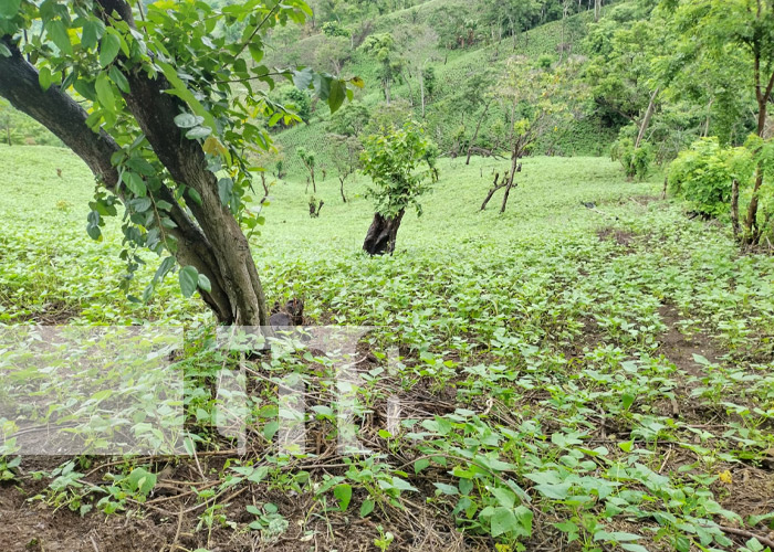 Foto: Ticuantepe y Managua con gran expectativa /TN8