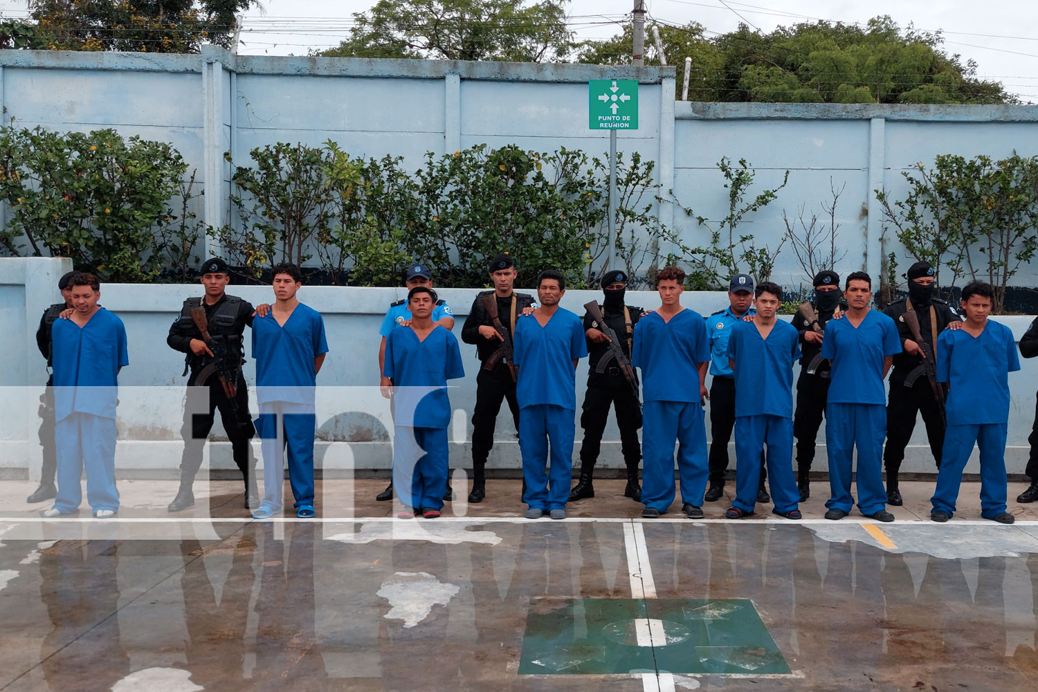 Foto: Operativos de la Policía Nacional incauta fuerte cantidad de drogas/TN8
