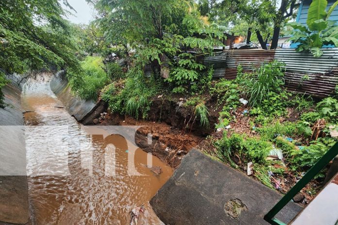Foto: Lluvias socaban loseta de un cauce en barrio Liberia, Managua / TN8