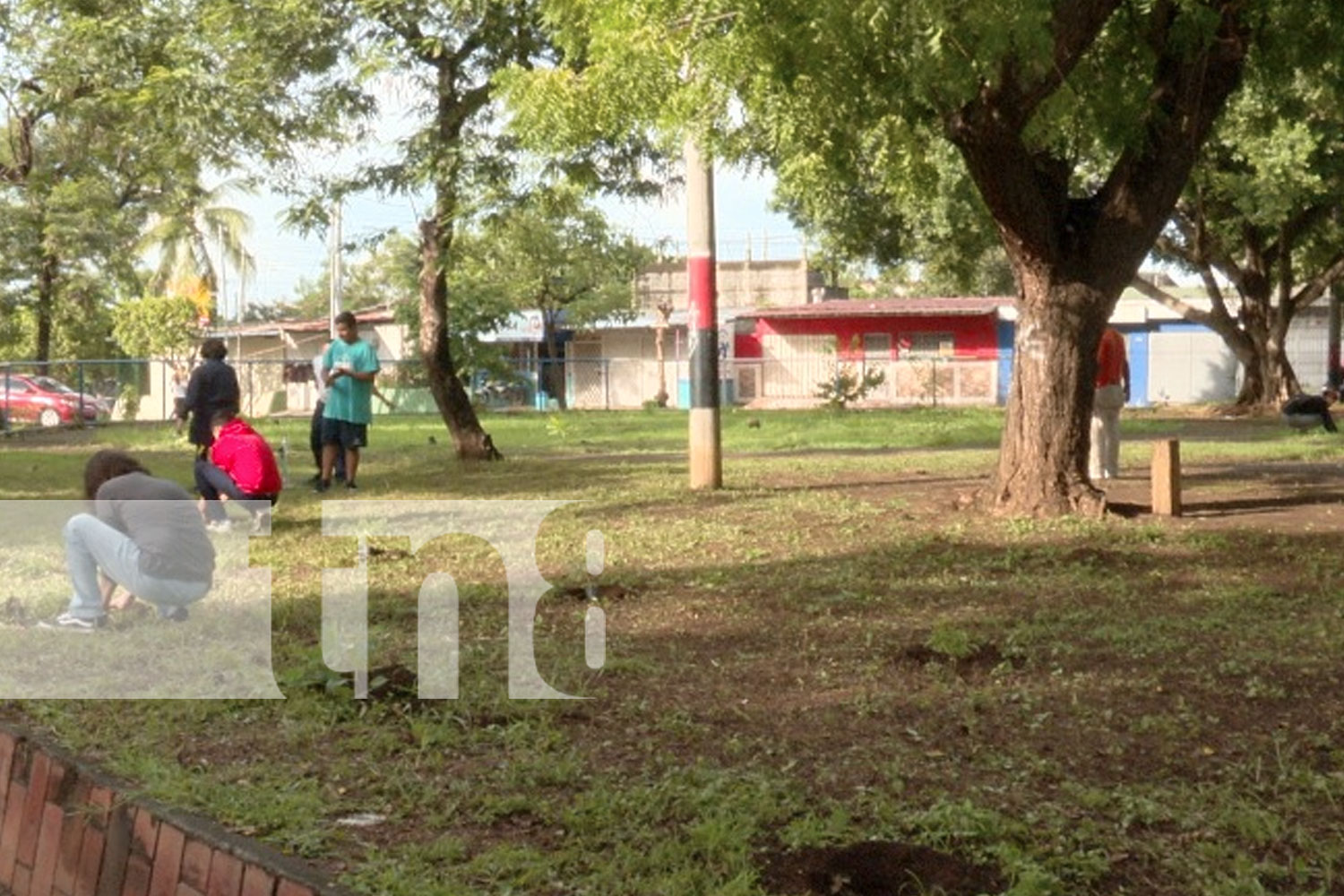 Foto: Reforestación masiva en Managua: 30 mil árboles para el Día del Árbol/TN8