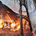 Foto: Incendio devasta vivienda en Río Blanco: Familia escapa a tiempo del siniestro/TN8