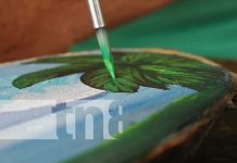 Foto: Emprendedor ofrece su arte plástico a turistas en la Isla de Ometepe/ TN8