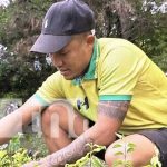 Foto: Jalapa estrena vivero con diversidad de especies para embellecer la ciudad/TN8