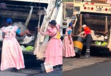 Foto: Virales por trabajar vestidos de princesas /Cortesía