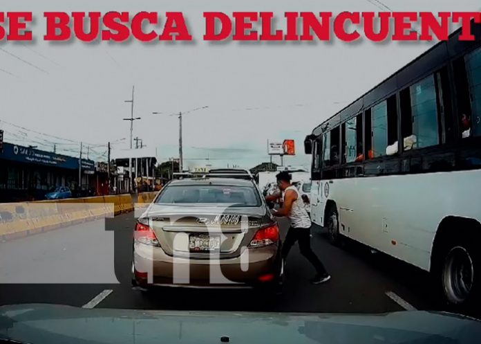 Foto: Delincuente es captado haciendo de las suyas en Managua /TN8