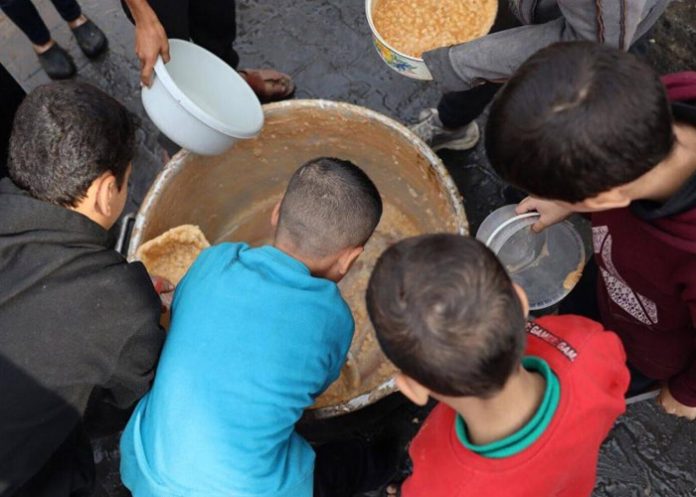 Foto: Colombia acogerá a niños palestinos /Cortesía