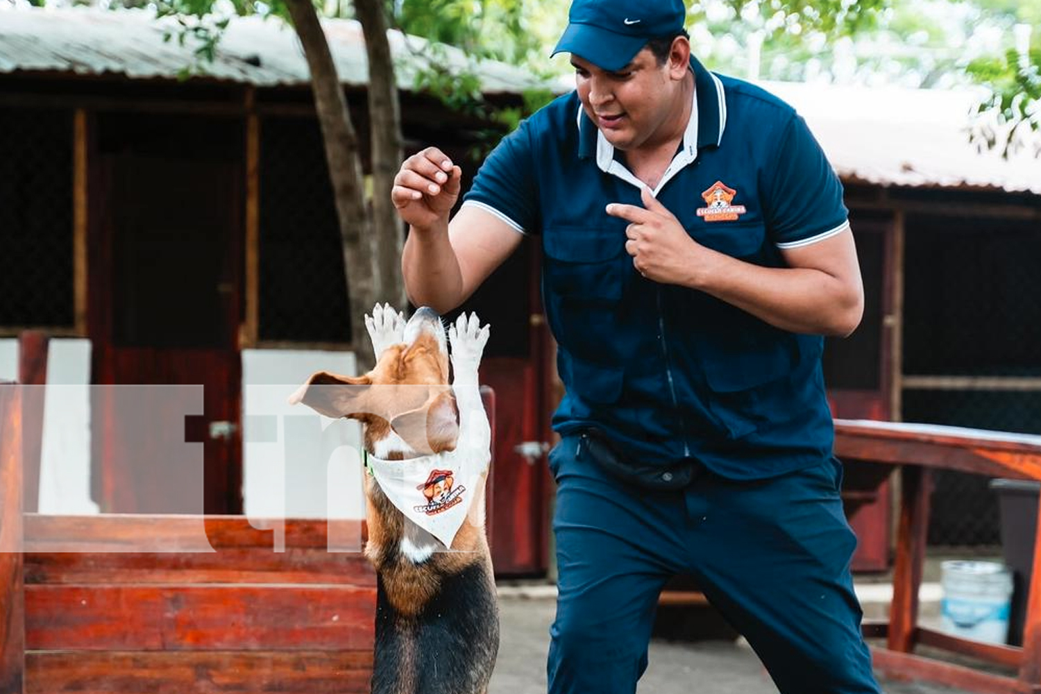 Foto: ¡Primera Escuela Canina en Estelí! Un espacio para el adiestramiento y cuidado/TN8