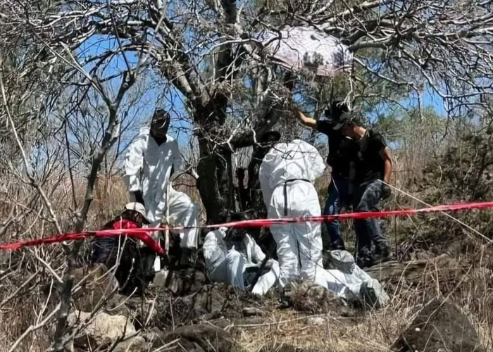 Foto: Encuentran 17 cuerpos en fosa clandestina en México /Cortesía