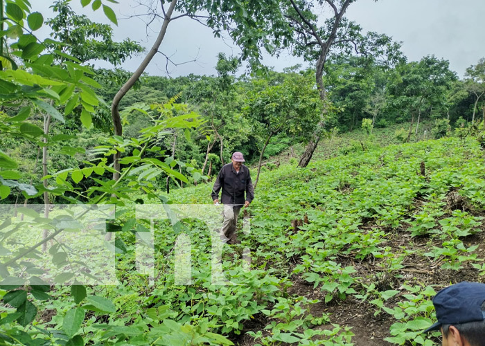 Foto: Ticuantepe y Managua con gran expectativa /TN8