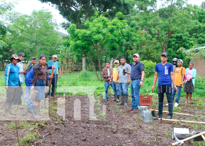 Foto: Fortalecen capacidades a productores de hortalizas con patio saludable en Telpaneca, Madriz/ TN8