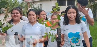 Foto: "Verde que te quiero verde" Medio millón de árboles serán plantados en Carazo/TN8